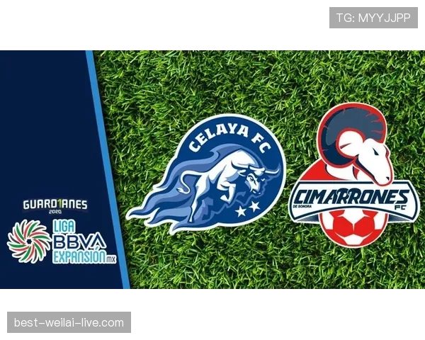 本泽马进攻端状态回暖的关键因素解析